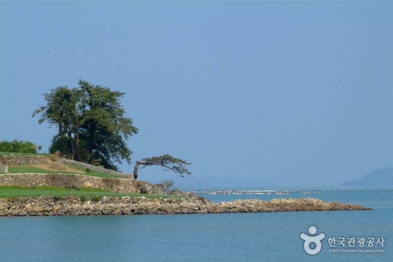 新興海水浴場