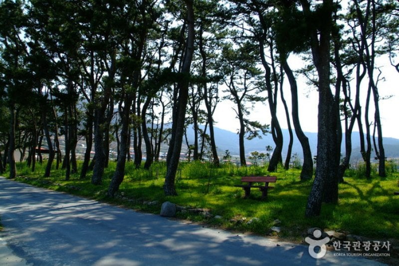 新興海水浴場