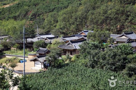 大邱漆谷村