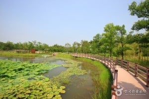 大田樹木園
