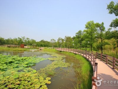 大田樹木園