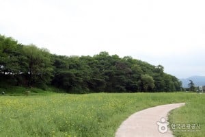 慶州月城