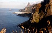 鬱陵島
