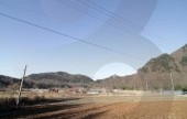 羅里盆地