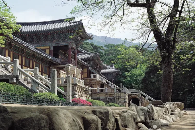 慶州國立公園 (1/4)