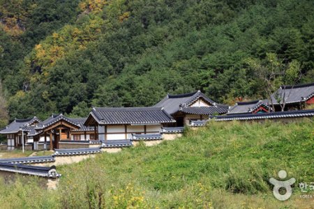 聾巖宗宅(농암종택)