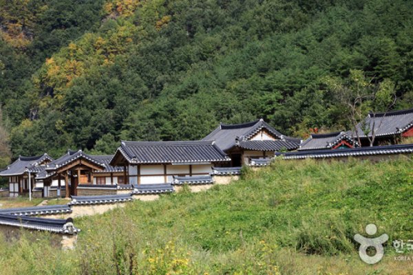 聾巖宗宅(농암종택)