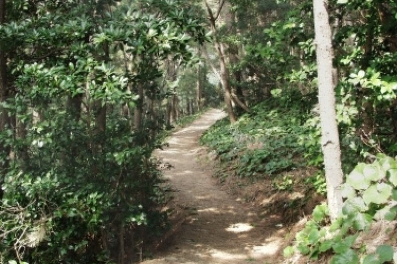 杏南海岸步道