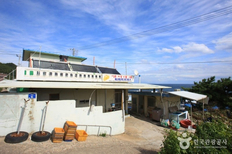 竹蟹元祖村 