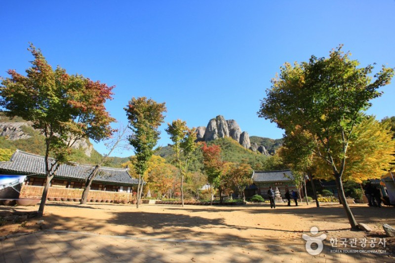大典寺  (3/14)