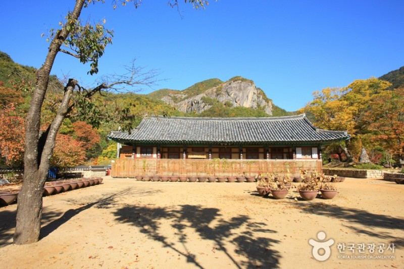 大典寺  (4/14)