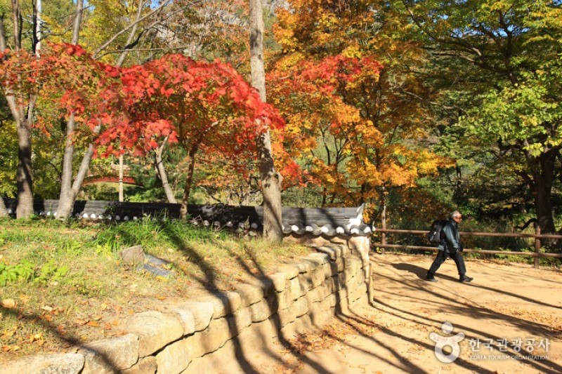 大典寺  (13/14)