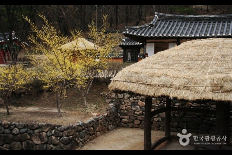 安東傳統文化內容博物館
