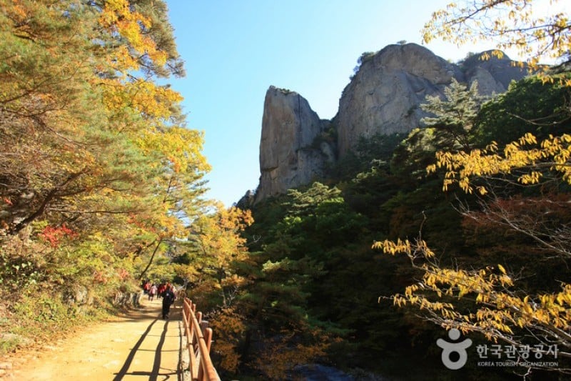 周王山國立公園 (4/37)