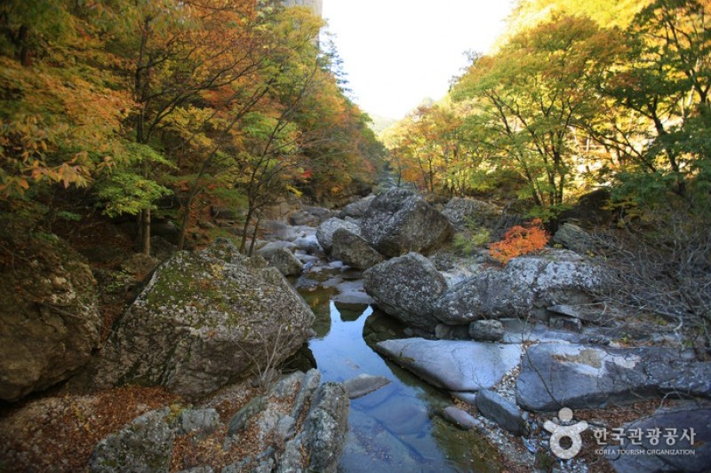周王山國立公園 (5/37)