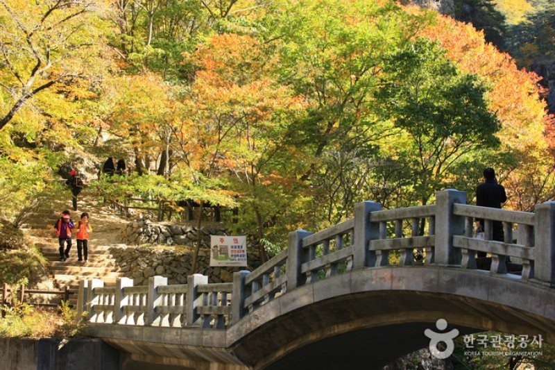 周王山國立公園 (8/37)