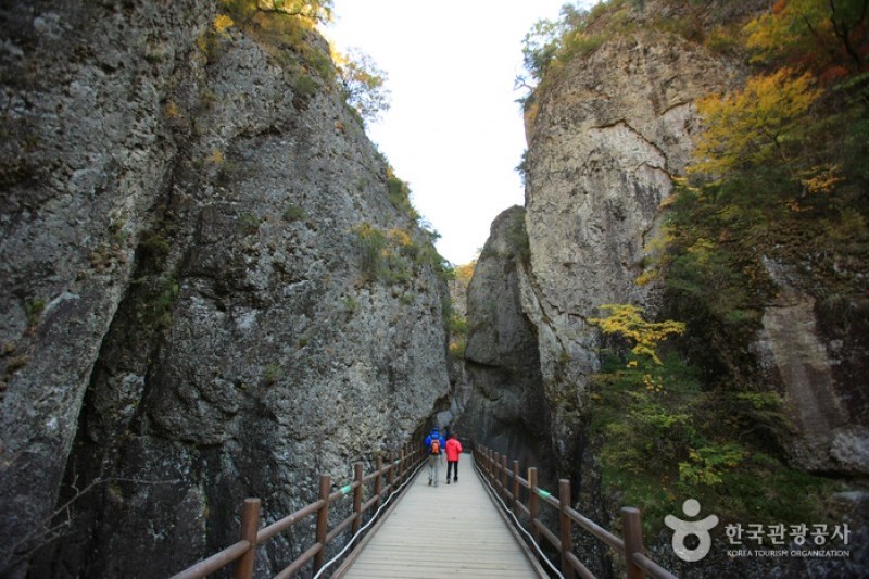 周王山國立公園 (11/37)