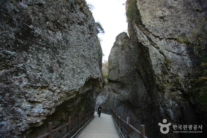 周王山國立公園 (12/37)