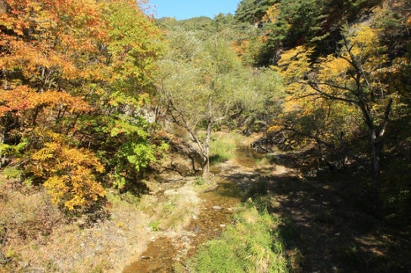 周王山國立公園 (14/37)