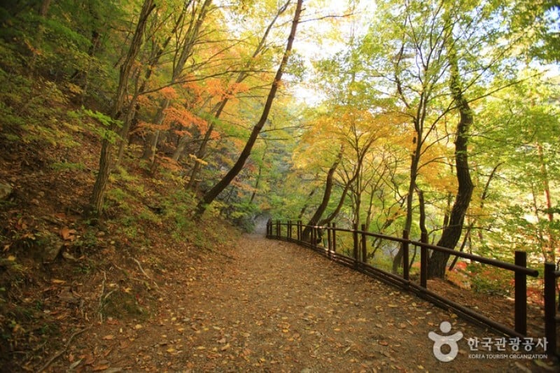 周王山國立公園 (16/37)