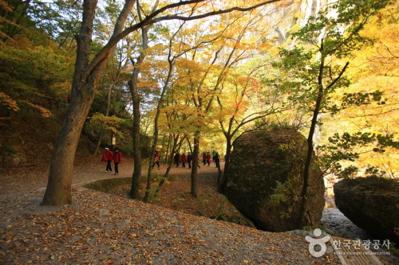 周王山國立公園 (20/37)