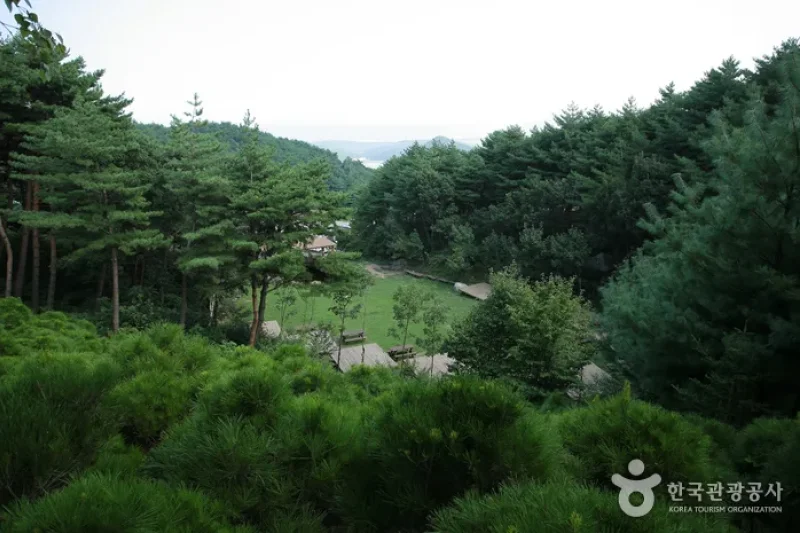 國立七寶山自然休養林 (5/13)