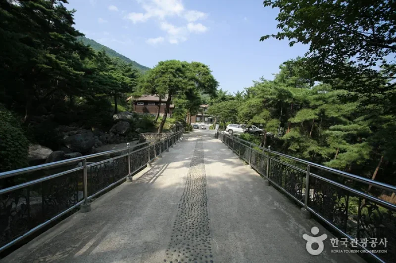 國立七寶山自然休養林 (6/13)