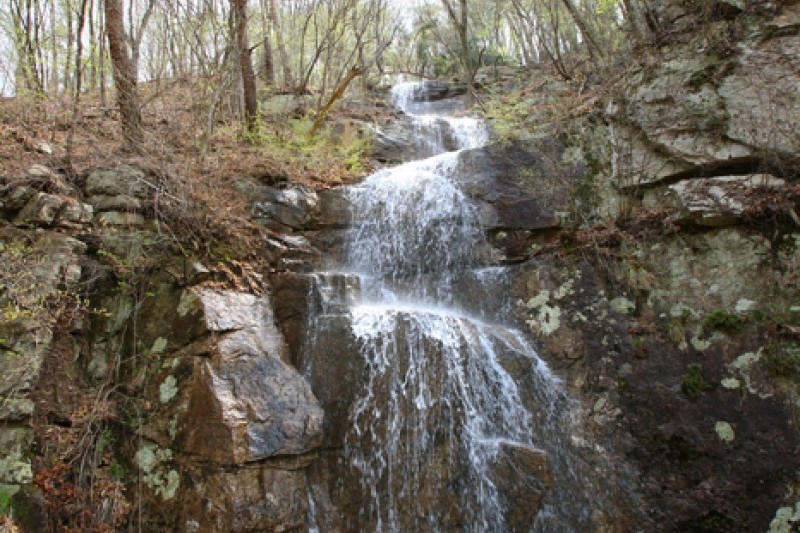 聞慶鳥嶺道立公園