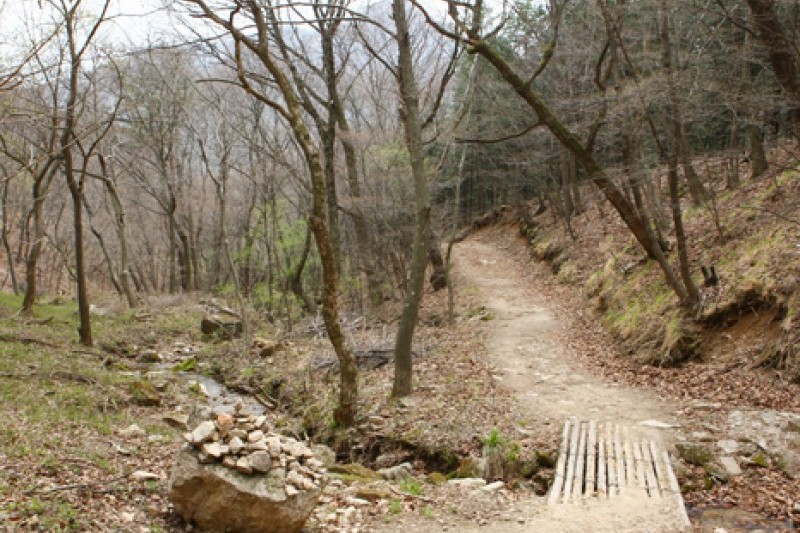 聞慶鳥嶺道立公園
