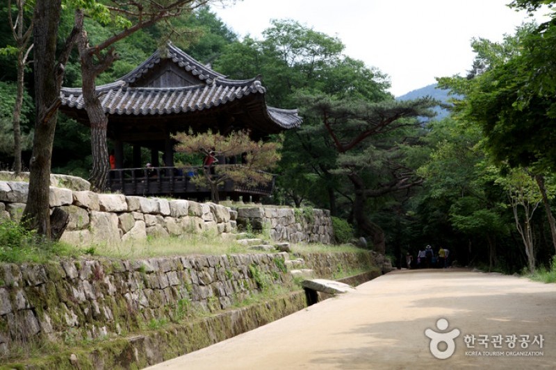 聞慶鳥嶺道立公園