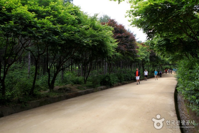 聞慶鳥嶺道立公園