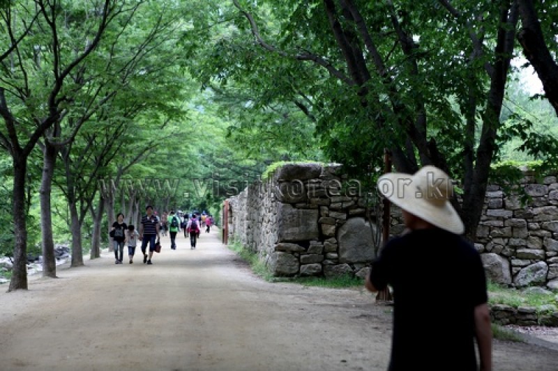 聞慶鳥嶺道立公園
