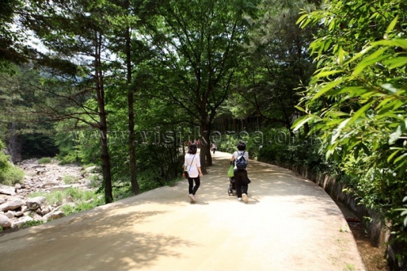 聞慶鳥嶺道立公園