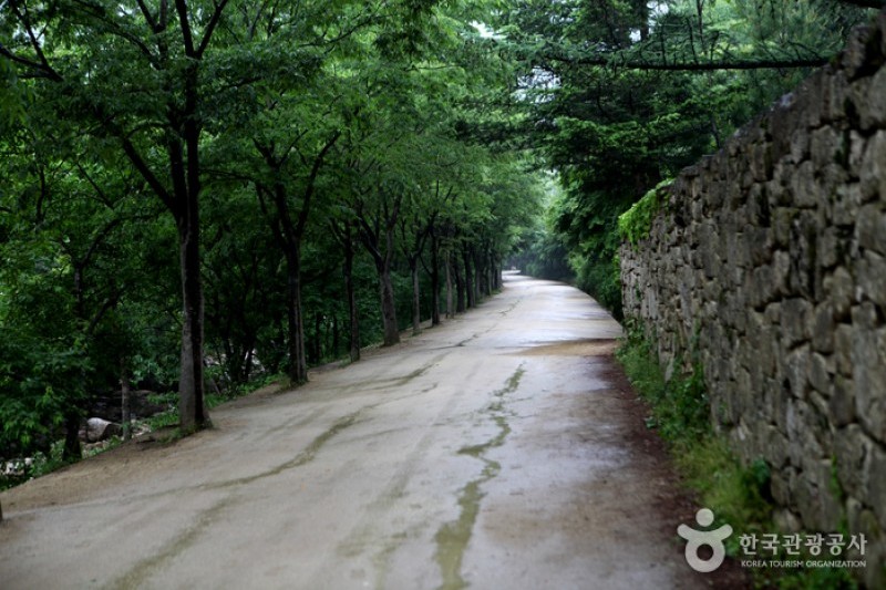 聞慶鳥嶺道立公園
