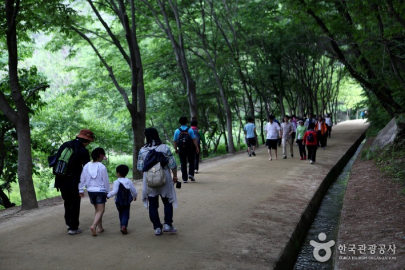聞慶鳥嶺道立公園