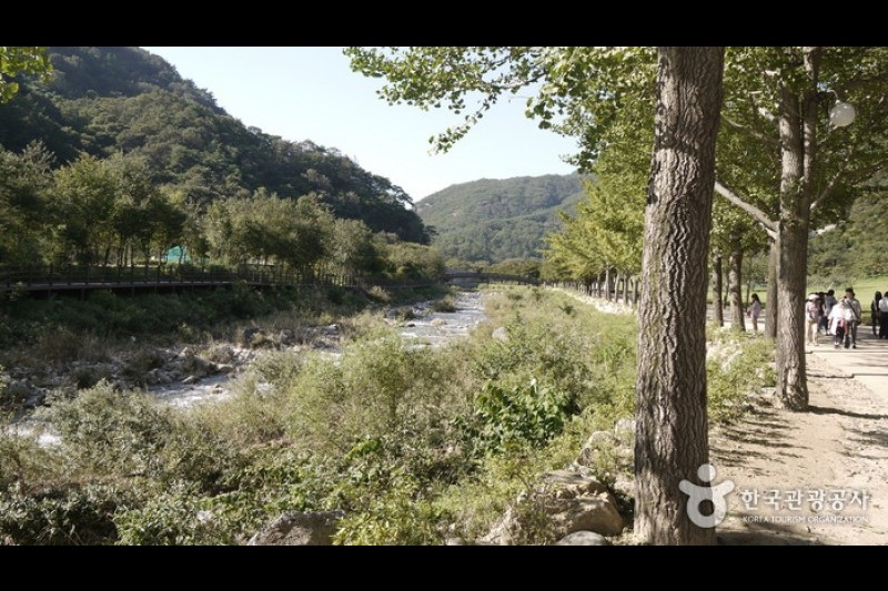 聞慶鳥嶺道立公園