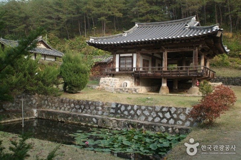 安東君子村