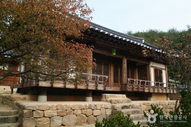 安東君子村