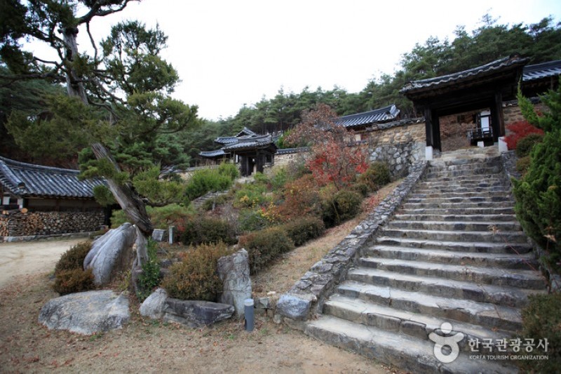 安東君子村