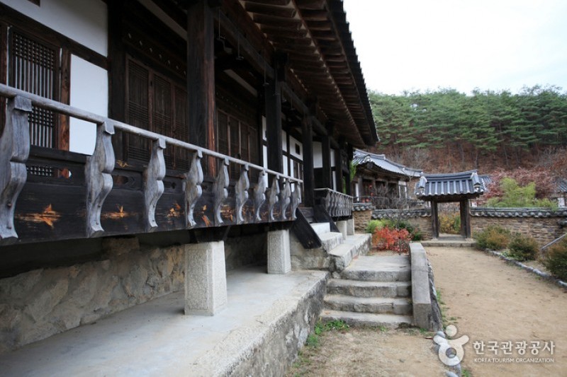 安東君子村