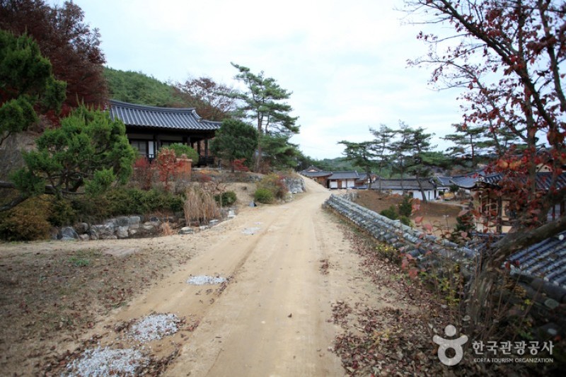 安東君子村
