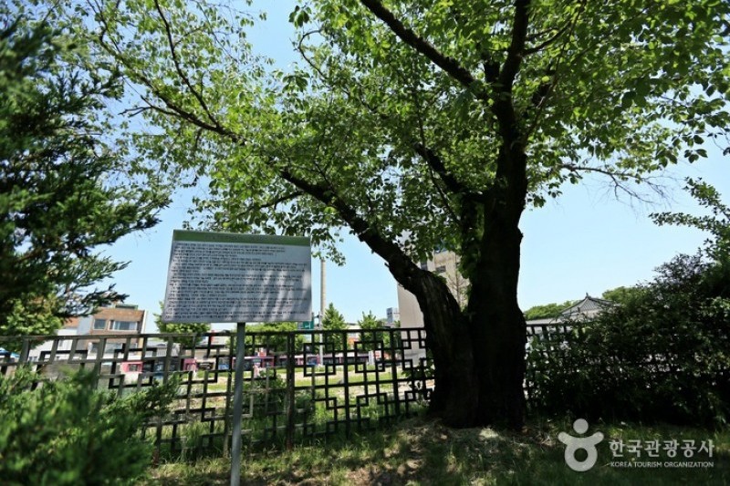 安東雲興洞幢竿支柱與五層磚塔