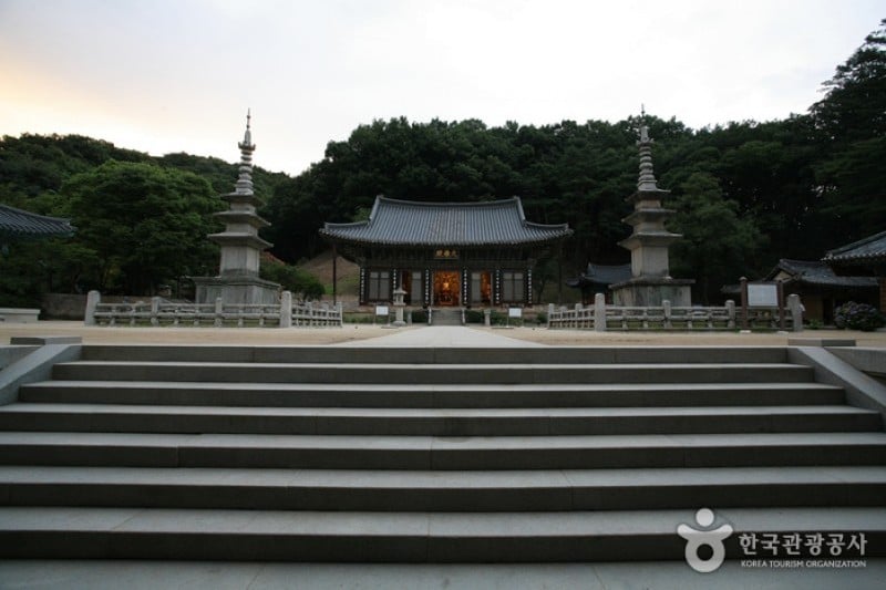 直指寺 (1/11)