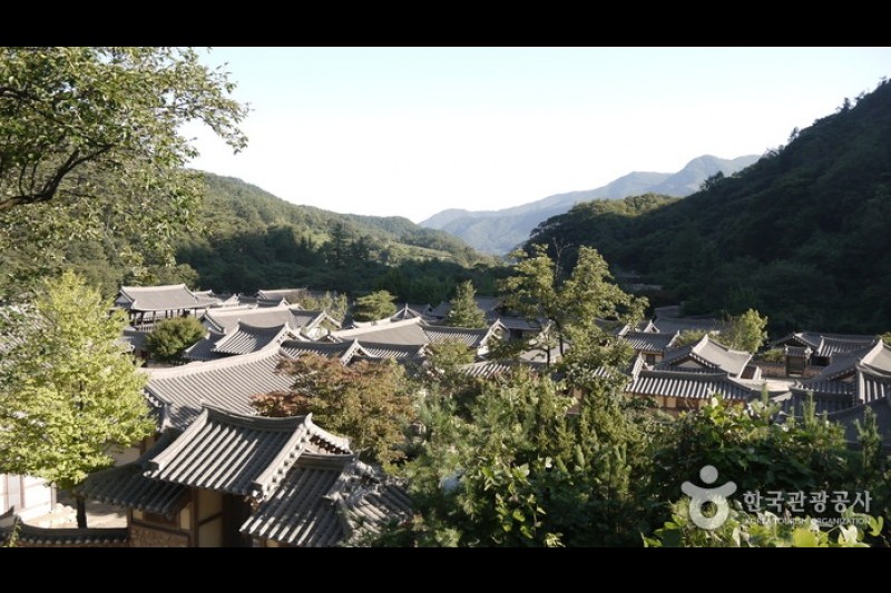 聞慶鳥嶺開放式攝影場