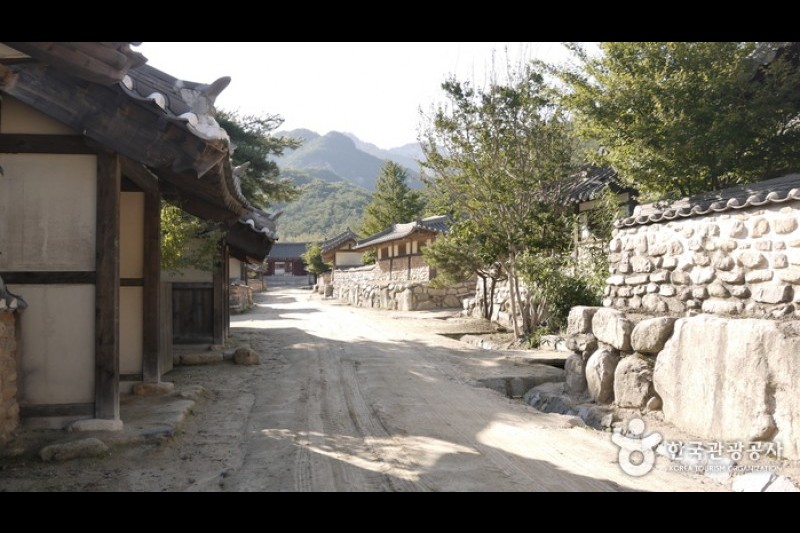聞慶鳥嶺開放式攝影場