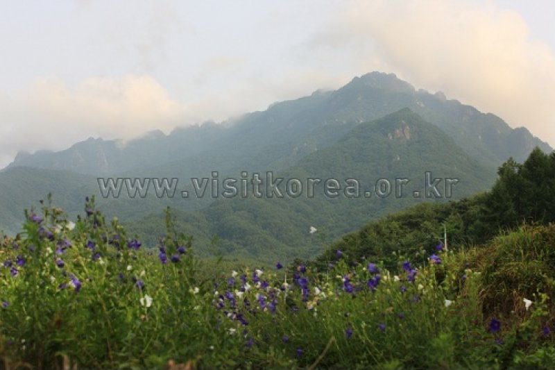 伽倻山國立公園 (1/12)