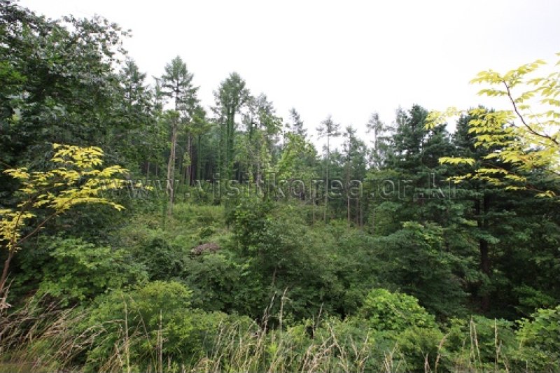 伽倻山國立公園 (5/12)