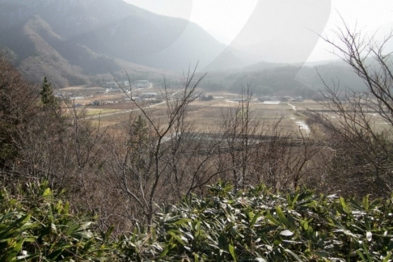 羅里盆地