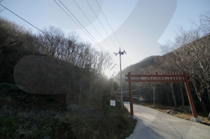 羅里盆地