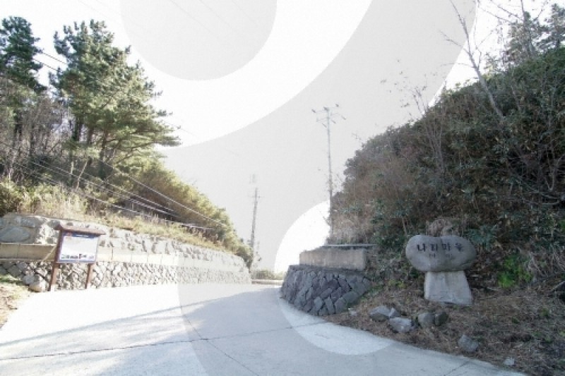羅里盆地